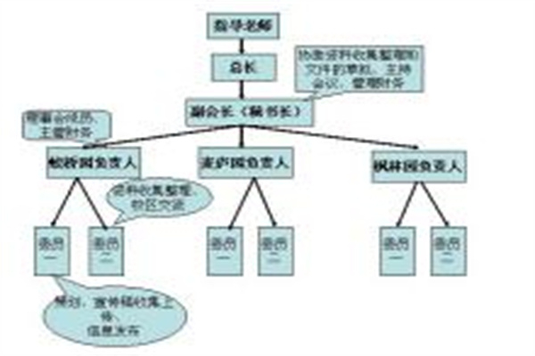 杠杆网配资：撬动财富的双刃剑，风险与机遇并存！